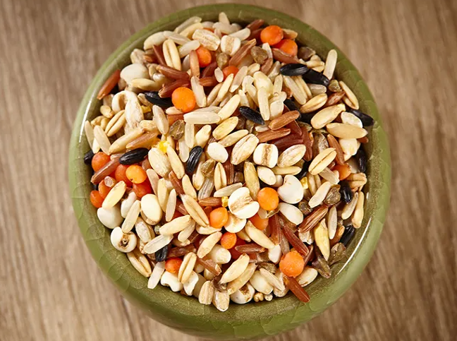 减肥期间能完全拒绝主食吗？减肥期间怎么吃主食好？