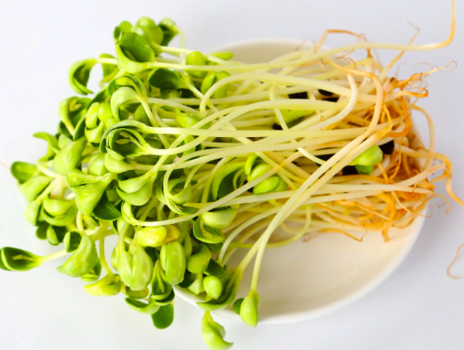 减肥应从饮食入手,常吃这几种家常菜能帮助减脂!