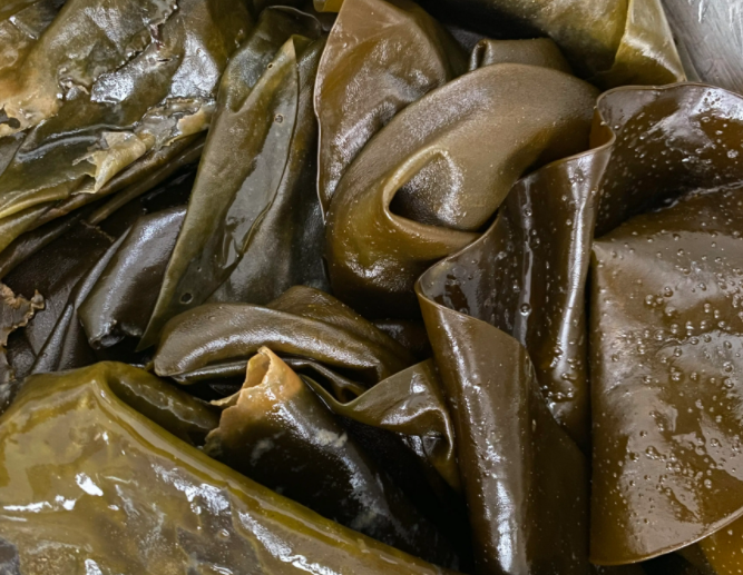 减肥为什么要降低胆固醇 降低胆固醇的食物