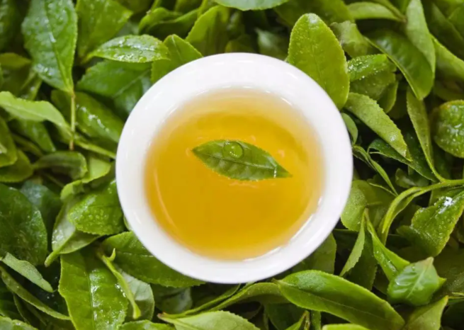 茶水能减肥吗?但是千万别乱喝