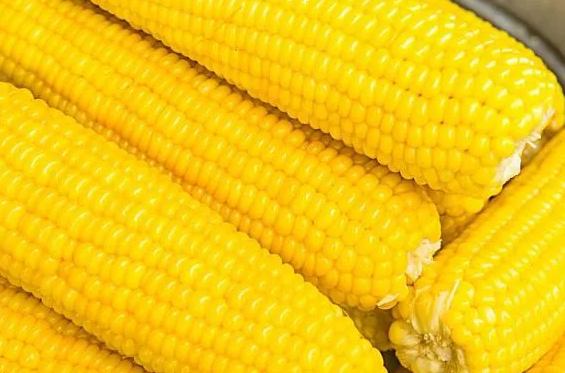 超强玉米减肥法! 4款玉米减肥食谱清肠排毒