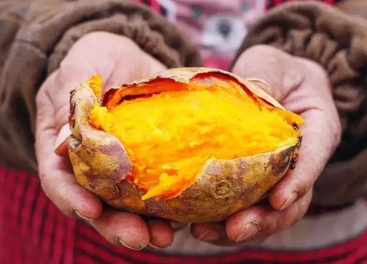 睡前吃不胖的食物有哪些