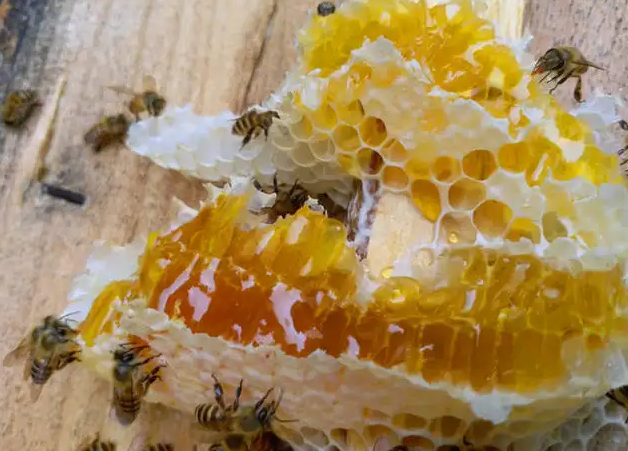 蜂蜜加这4种食物 让你喝出完美曲线