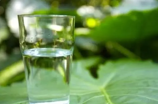 春季最适合白领的减肥方法