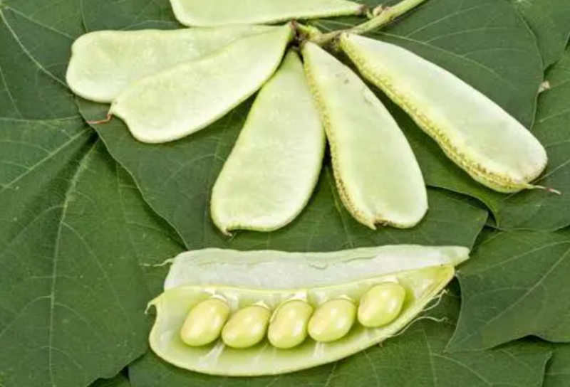 月减10斤 推荐8种春季经典减肥食物