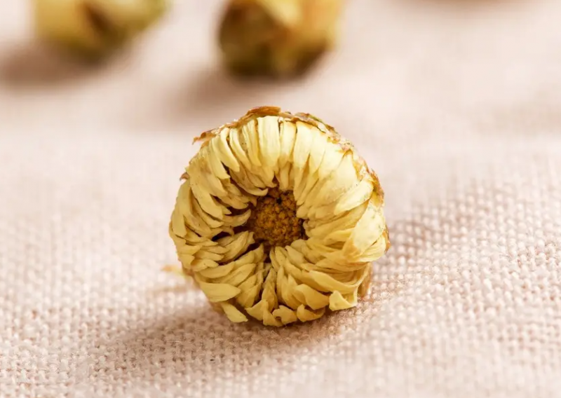 胎菊的功效与作用 胎菊与什么配在一起喝好？