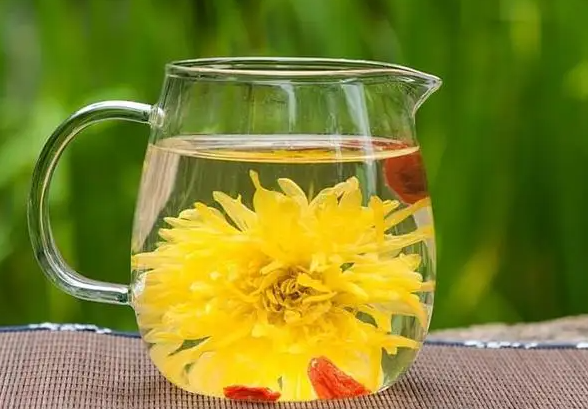 白菊花茶的功效与作用 白菊花茶能天天喝吗