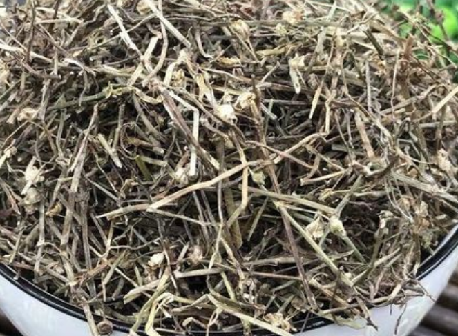 白花蛇舌草的功效是什么 白花蛇舌草能治疗什么病