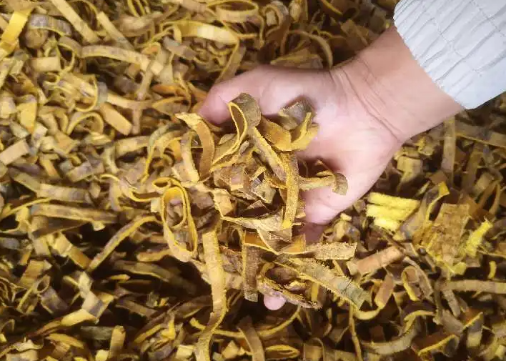 黄柏的功效与作用 黄柏可以壮阳补肾吗？