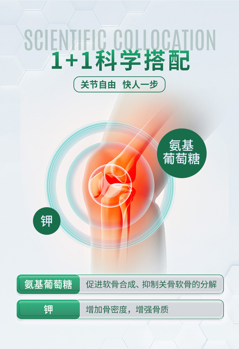 氨糖详情_05