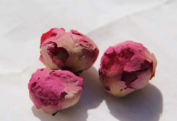 芍药花泡水喝的功效 芍药花茶可以和什么搭配