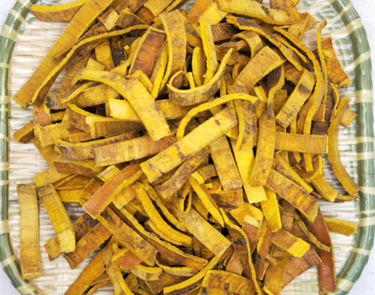 黄柏的禁忌是什么 教您正确安全食用黄柏