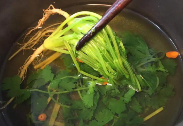 香菜煮水的功效与作用 香菜煮水禁忌是什么