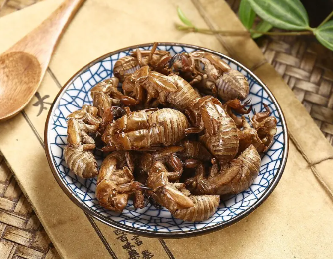 蝉蜕有什么功效与作用 蝉蜕对皮肤病的功效与作用