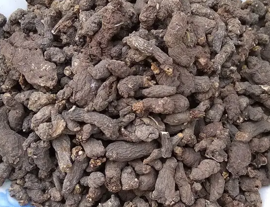 天葵子的功效与作用 天葵子怎么样