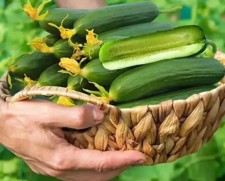 排毒养颜怎么吃 盘点排毒养颜的几种养生食物