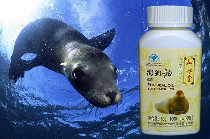 海狗油好还是海豹油好，各有优点，各有价值
