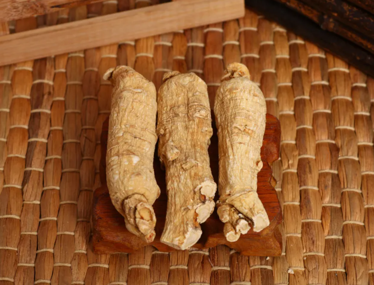西洋参的功效与作用及食用方法