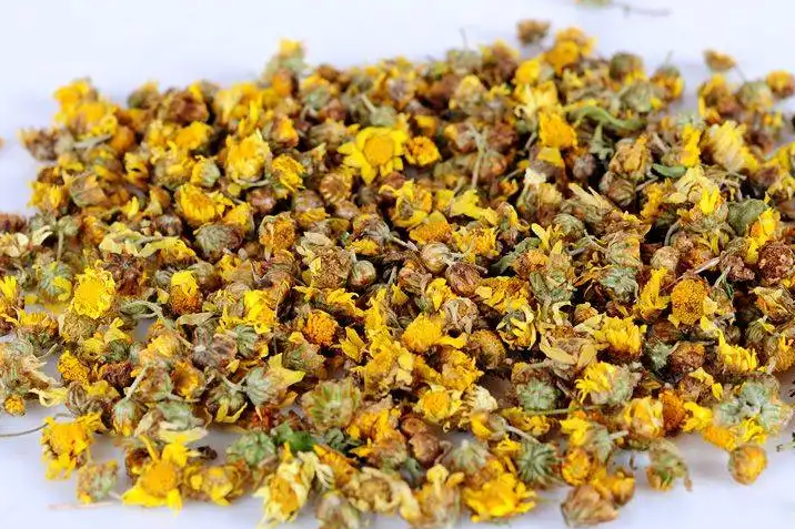野菊花的功效与作用 野菊花茶有哪些功效