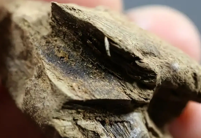 沉香的功效与作用 沉香对女人作用与功效是什么