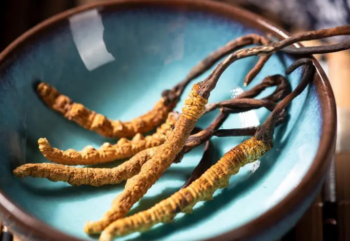 吃冬虫夏草一天中什么时间好最佳 冬虫夏草的吃法怎样最好？