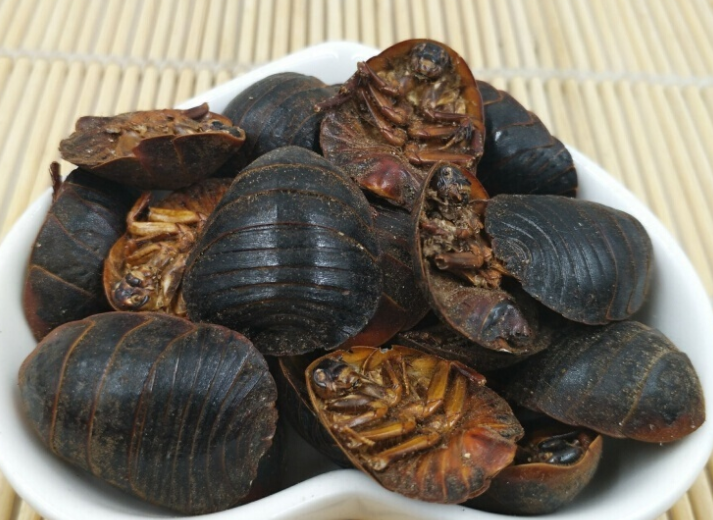 土鳖虫的功效与作用 土鳖虫对肝脏有什么好处
