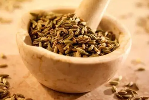 小茴香的功效与作用有哪些？小茴香治疗失眠的方法