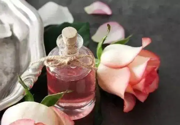 玫瑰精油的作用与功效 玫瑰精油能不能白天用