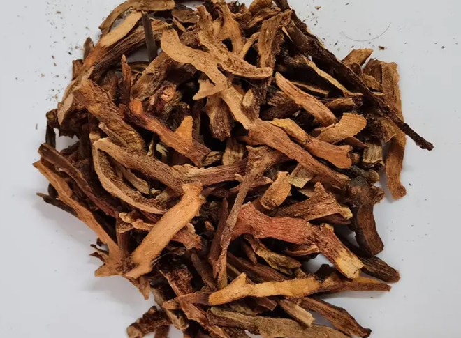 骨碎补可以治疗什么?