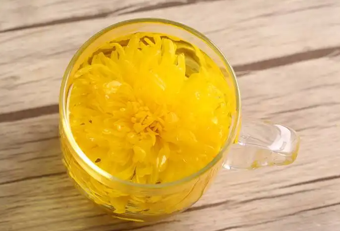 菊花茶的禁忌 饮用菊花茶要牢记这6个禁忌