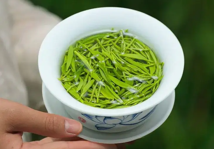 信阳毛尖的功效与作用 如何鉴别信阳毛尖的好坏