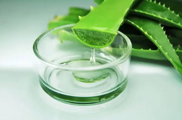 芦荟怎么美容 用芦荟美容的方法技巧教程