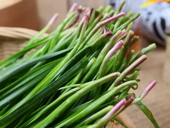 野韭菜怎么吃好 野韭菜的常见吃法