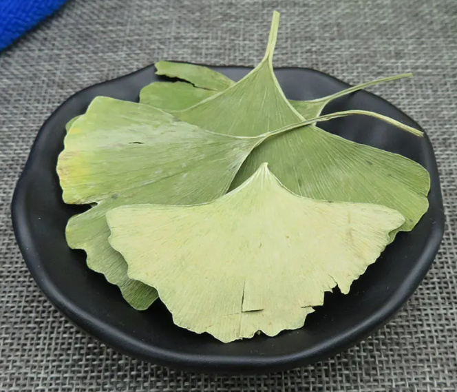 银青叶的功效与作用 银青叶的药用价值