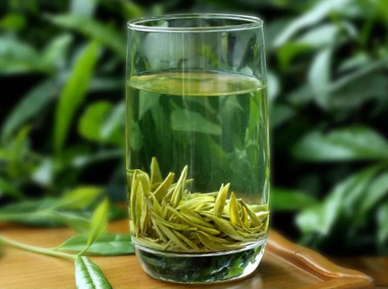 毛尖茶的营养价值 喝毛尖茶的好处有哪些