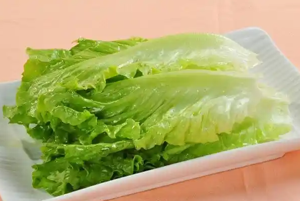 生菜的功效与作用 吃生菜的好处