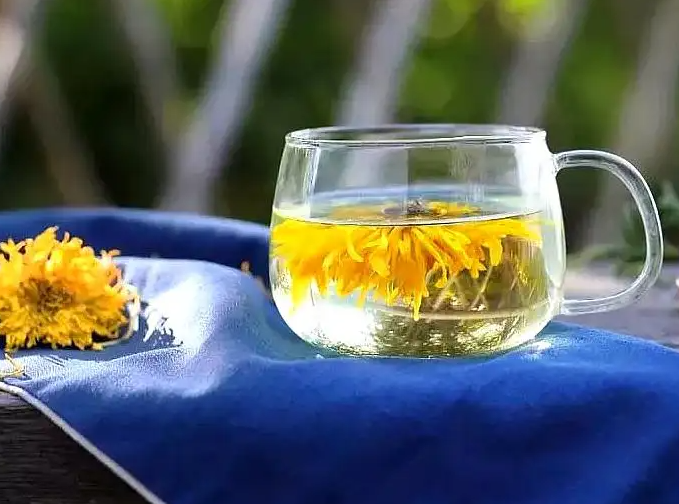 菊花茶加冰糖，并非人人适宜