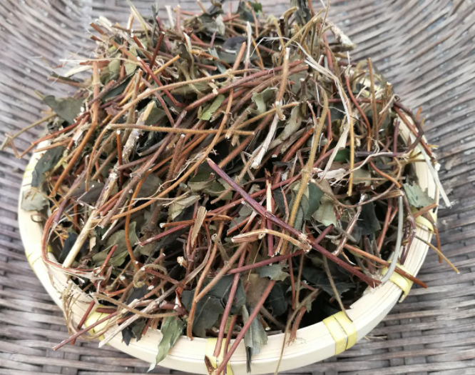 金银花藤的功效与作用 金银花藤的药用价值