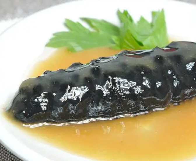 黑海参的功效与作用 黑海参的食用方法