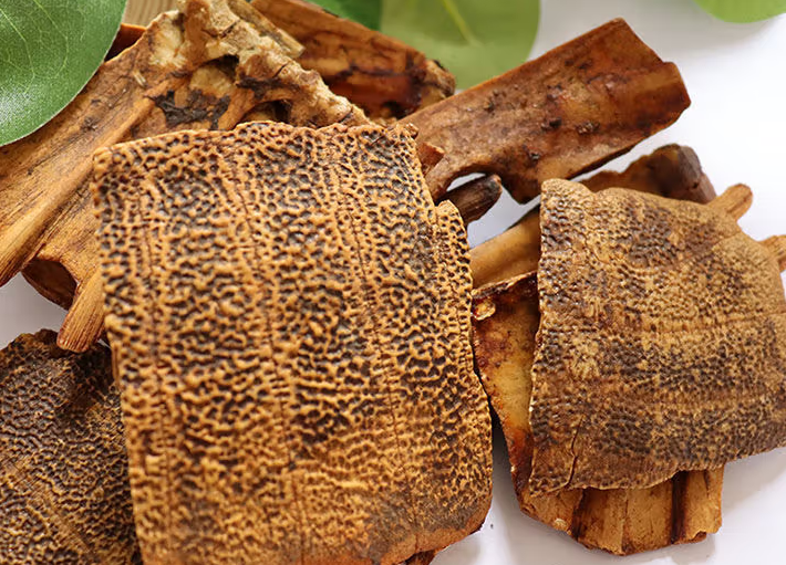 醋龟甲和醋鳖甲的区别 醋龟甲的食用方法