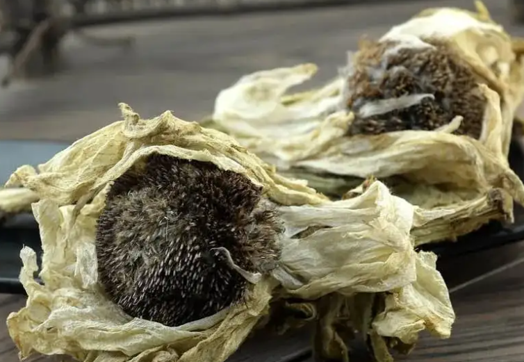 天山雪胆的功效与作用 天山雪胆的药用价值