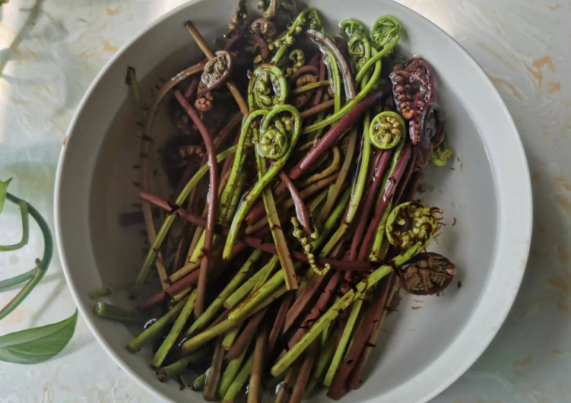 猴腿菜怎么吃 猴腿菜的做法大全