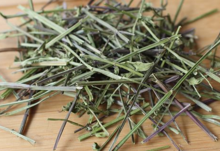 通经草的功效与作用 通经草的药用价值