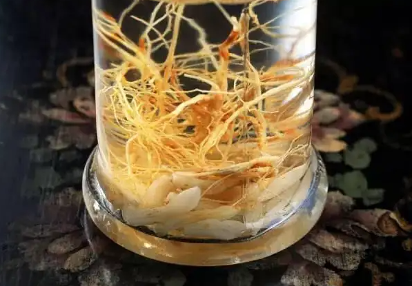 参须麦冬的功效和作用 参须麦冬的禁忌