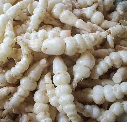 地笋的功效与作用 地笋的食用方法
