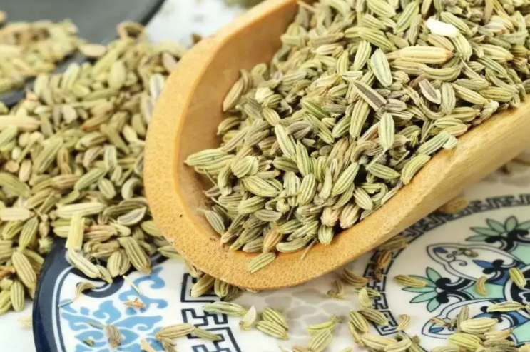 小茴香功效与作用 小茴香泡水喝的作用与功效