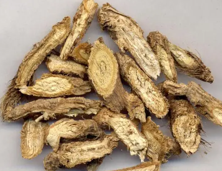 防风的作用 防风的功效