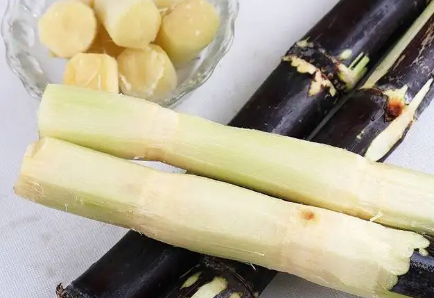 甘蔗的功效与作用 高脂血症可以吃甘蔗吗