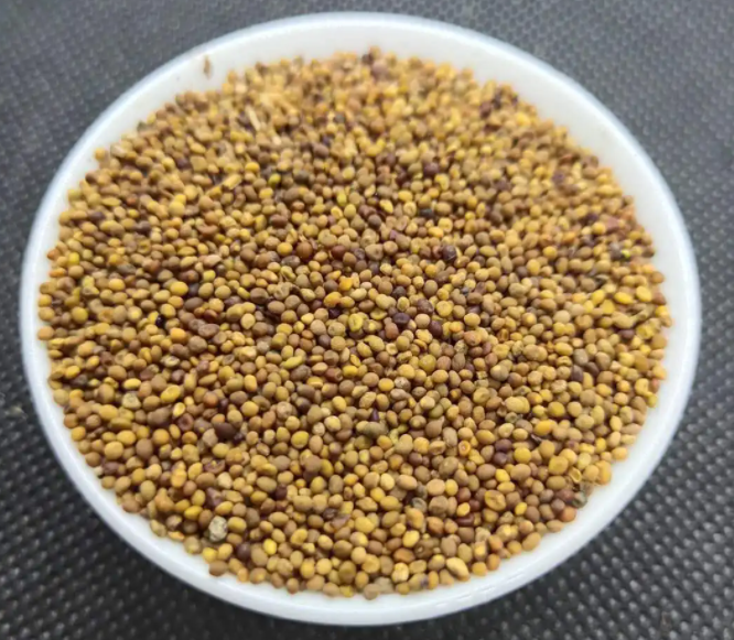 菟丝子的功效与作用 菟丝子能长期泡水喝吗