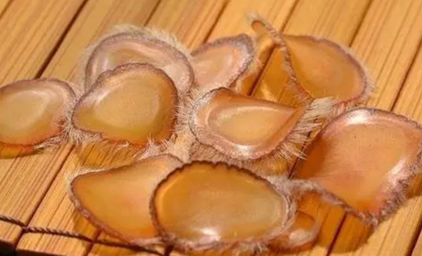 鹿茸的功效与作用及食用方法